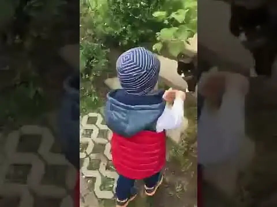 Copy kitty. Видео как у кошечки дела она. Видео как у кошечки дела она. Mommy kitty. Видео как у кошечки дела она.