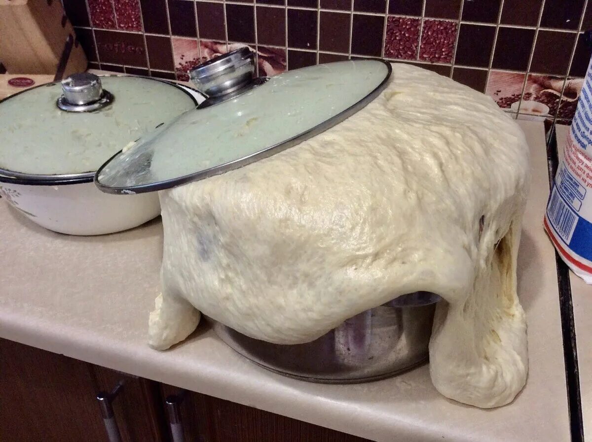 Тесто из кастрюли. Сбежавшее тесто. Лунтик и его друзья сбежавшее тесто. Сбежавшее тесто. Тесто в кастрюле.