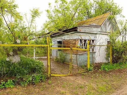 Купили заброшенную дачу