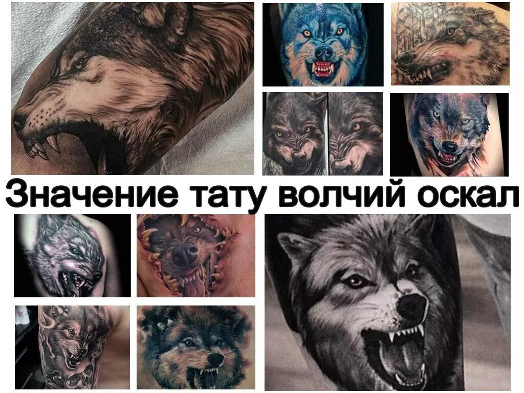 Значение татуировок оскал