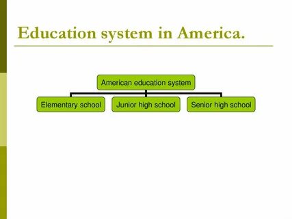 System year