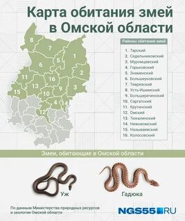 Карта змея