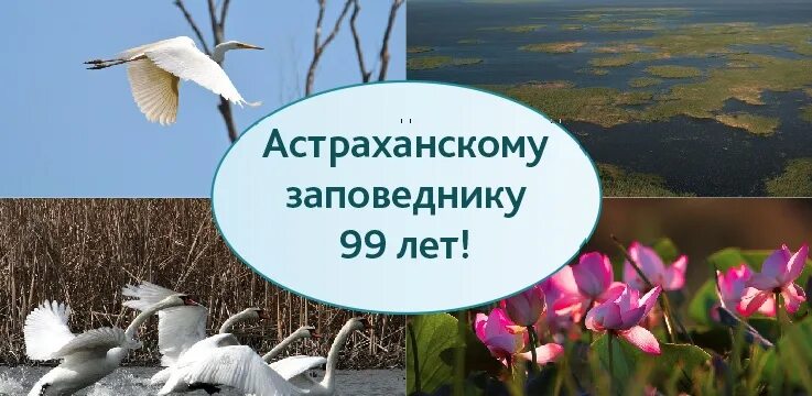 Астраханский заповедник основные объекты охраны. Астраханский заповедник ООПТ. Астраханский биосферный заповедник герб. Эмблема Астраханского биосферного заповедника. Астраханский заповедник символ.