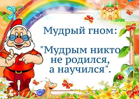 Куда идет премудрый гном