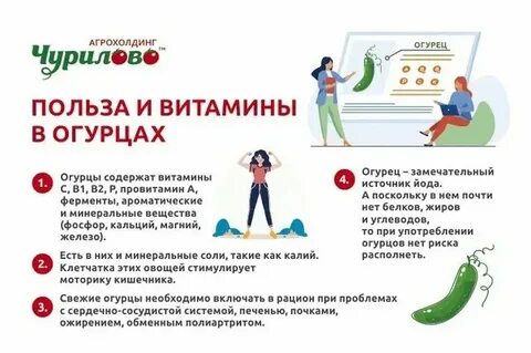 Какие витамины есть в огурце свежем