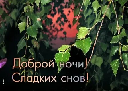 Доброй августовской ночи картинки
