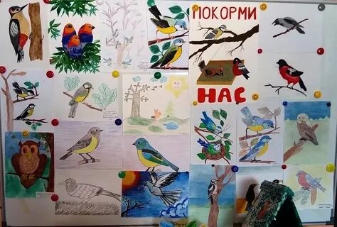 День птиц материалы