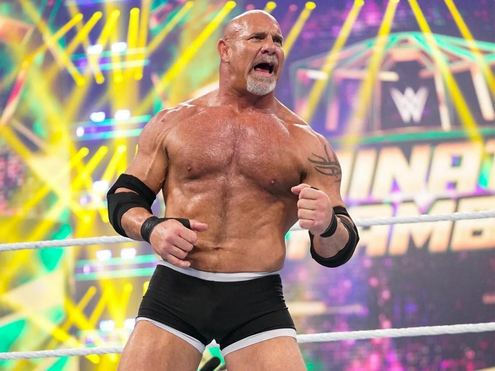 Голдберг 2023. Билл Голдберг 2022. Bill Goldberg WWE. Голдберг рестлер