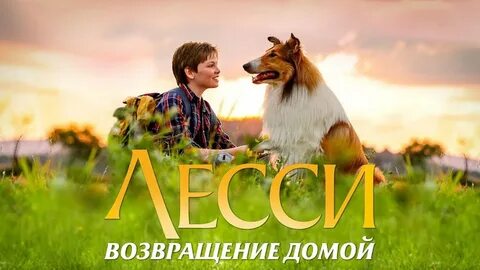 Возвращение домой 2020