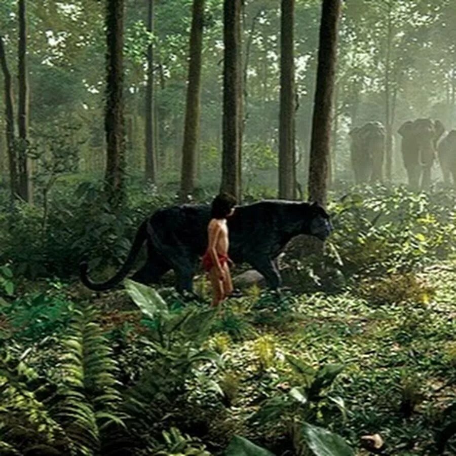 The Jungle Book 2016 Screencap Fancaps