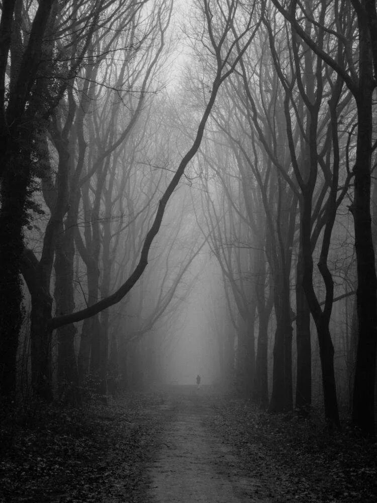 Мрак Эстетика. Эстетика тьмы. Тьма лес. Мрачные картинки.