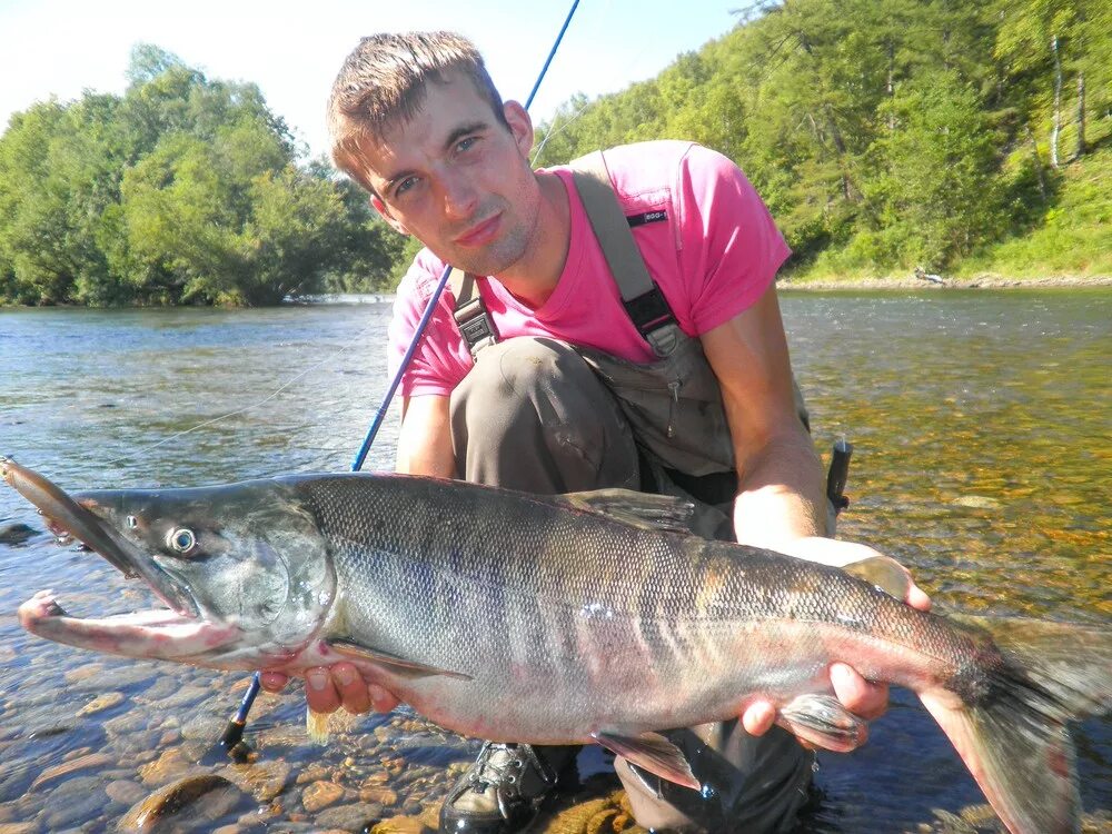 Река коппи. Таймени хабаровского края. Рыболовство хабаровского края. Таймень оленгуй. Щука чукотка.