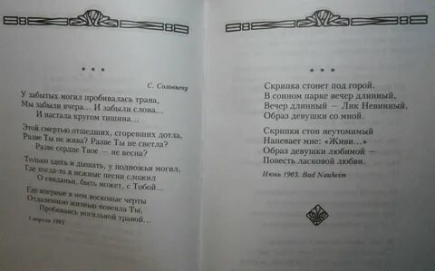 Блок скрипка