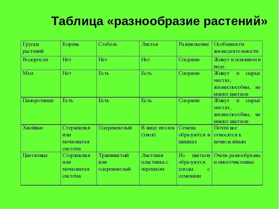 С чем можно сравнить класс. Сравнительная характеристика отделов растений таблица. Биология 5 кл характеристика растений. Таблица по биологии 6 класс отделы растений. Отделы растений таблица 6 класс биология.