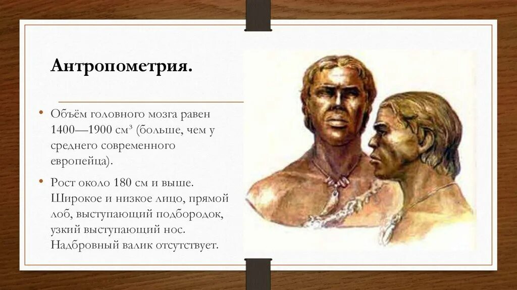 Первые современные люди кроманьонцы. Неоантропы современные люди кроманьонцы. Первые современные люди – неоантропы (кроманьонцы). Хомо сапиенс неандерталец кроманьонец. Первые люди современного типа.