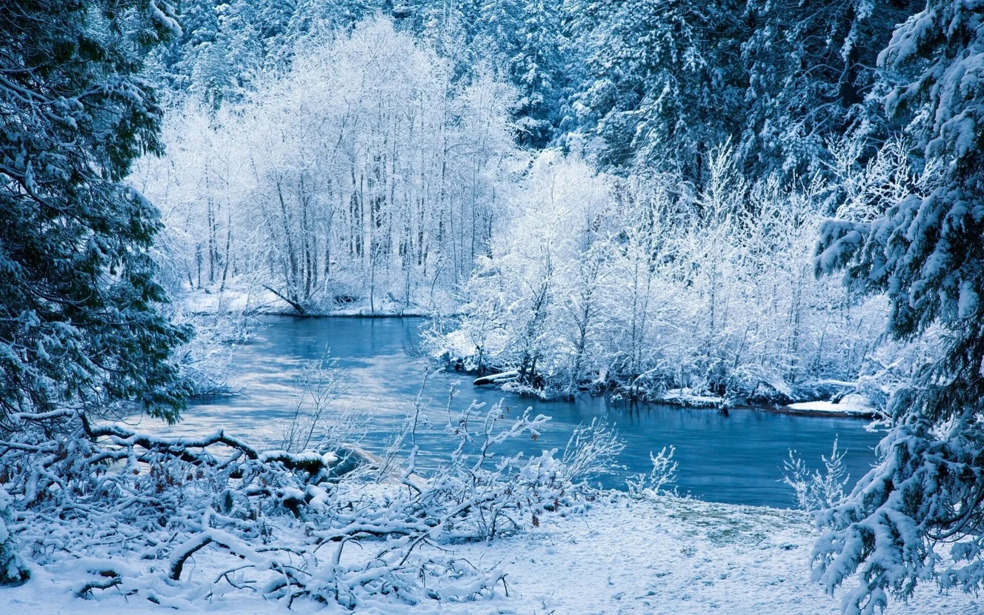 Красивая зима. Зимний пейзаж. Зимняя природа. Зимний лес.