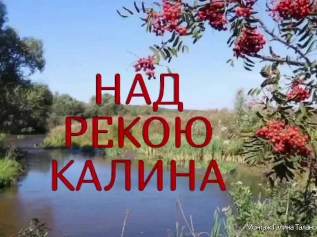 Калина над водой слушать. Калина над рекой. Калина над водою. Калина у реки.