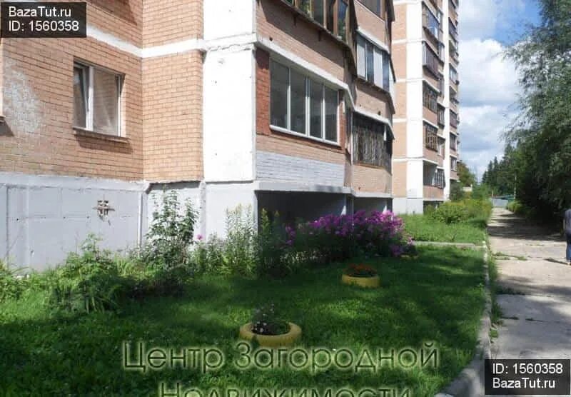 Монино ул алксниса 20. Монино ул алксниса 30. Алксниса 38. Монино ул алксниса. Монино алксниса 46.