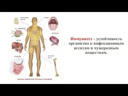 Иммунная устойчивость