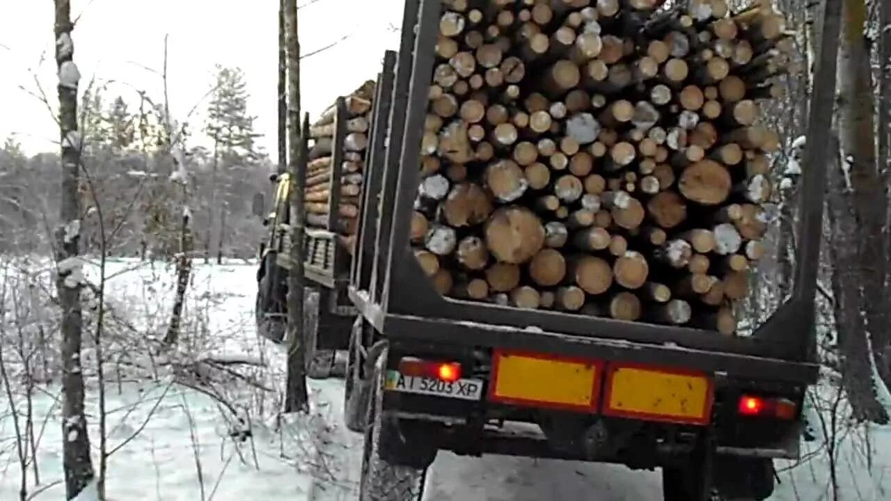 Лесовозы в красноярском крае. КАМАЗ 53212 лесовоз. КАМАЗ 75 кубов леса. КАМАЗ вывозка леса. Камащы с бревна ми зашшиты.