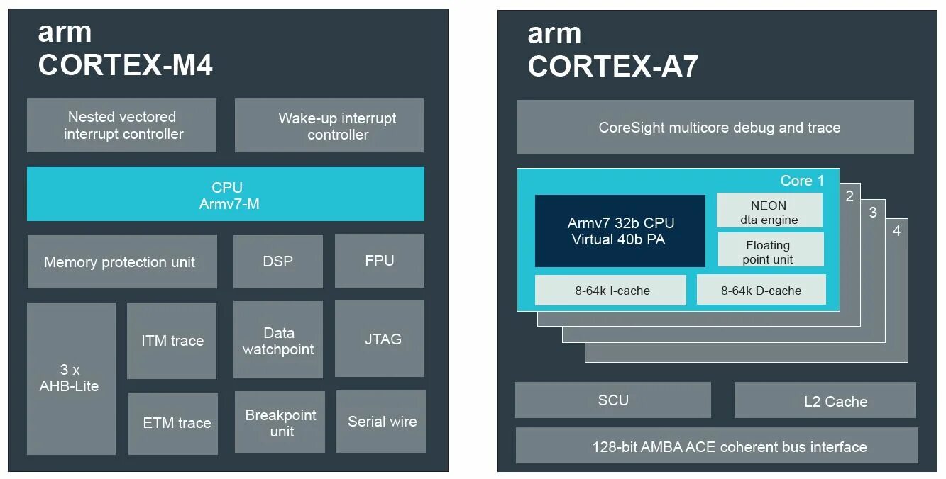 Процессор cortex a7. Cortex m4 описание. cortex a7 магнитола. mics компании cortex..