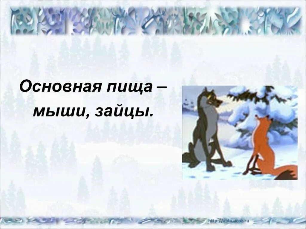Жизнь животных зимой презентация 2 класс. Зимняя жизнь птиц и зверей презентация. зимняя жизнь птиц и зверей 2 класс окружающий мир. зимняя жизнь зверей 2 класс перспектива. зимняя жизнь зверей и птиц 2 класс презентация.