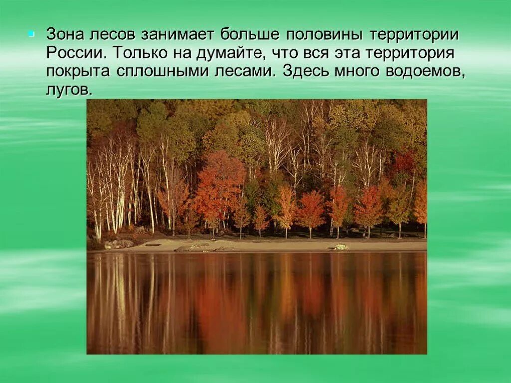 Леса половина территории россии. Зона лесов презентация 4 класс. Презентация на тему Лесная зона. Сообщение о зоне лесов 4 класс. Презентация смешанная зона леса.