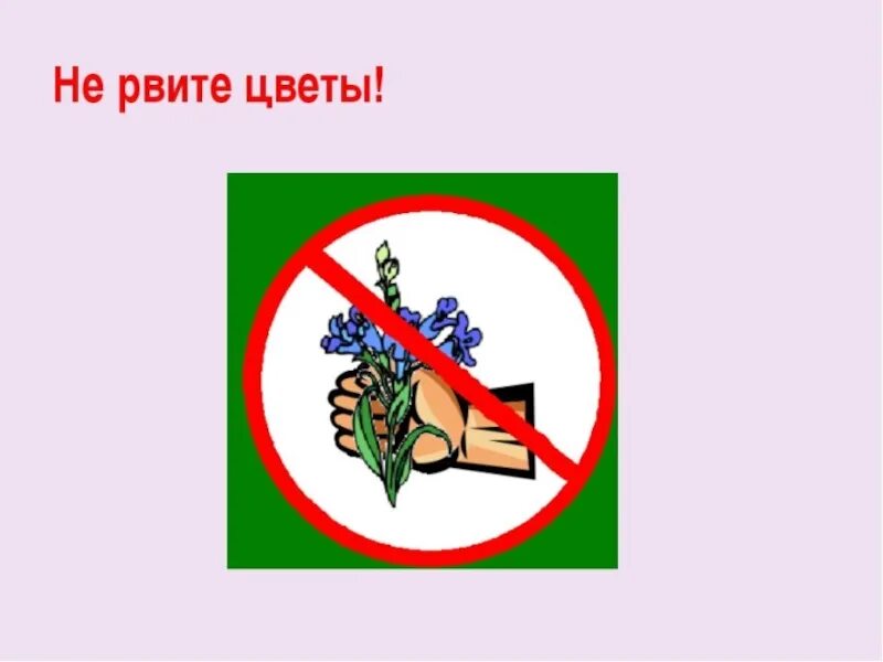 Можно ли рвать цветы. Не рвать цветы. природоохранные знаки. знак не рвать растения. не рви цветы.