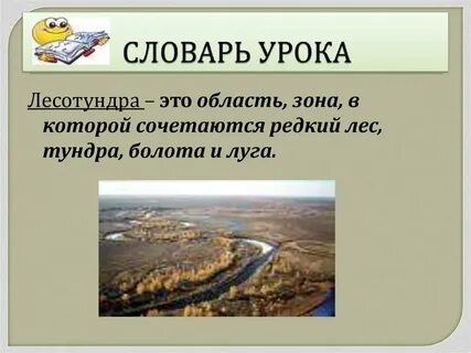 Лесотундра 8 класс география