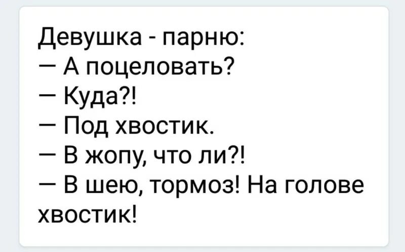 Хочу под хвост. Поцеловать под хвостик.