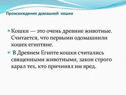 Происхождение кошек