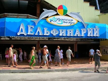 Сколько дельфинариев в сочи