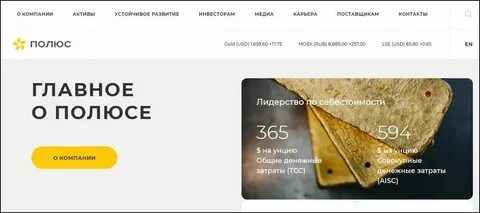 Валютный ресурс акций полюс золото