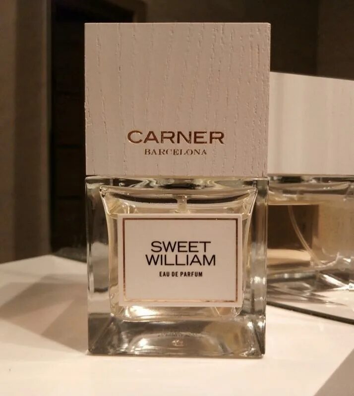 Sweet william carner barcelona. Carner barcelona bo bo. Sweet william carner barcelona. Sweet william carner barcelona. Sweet william carner barcelona.