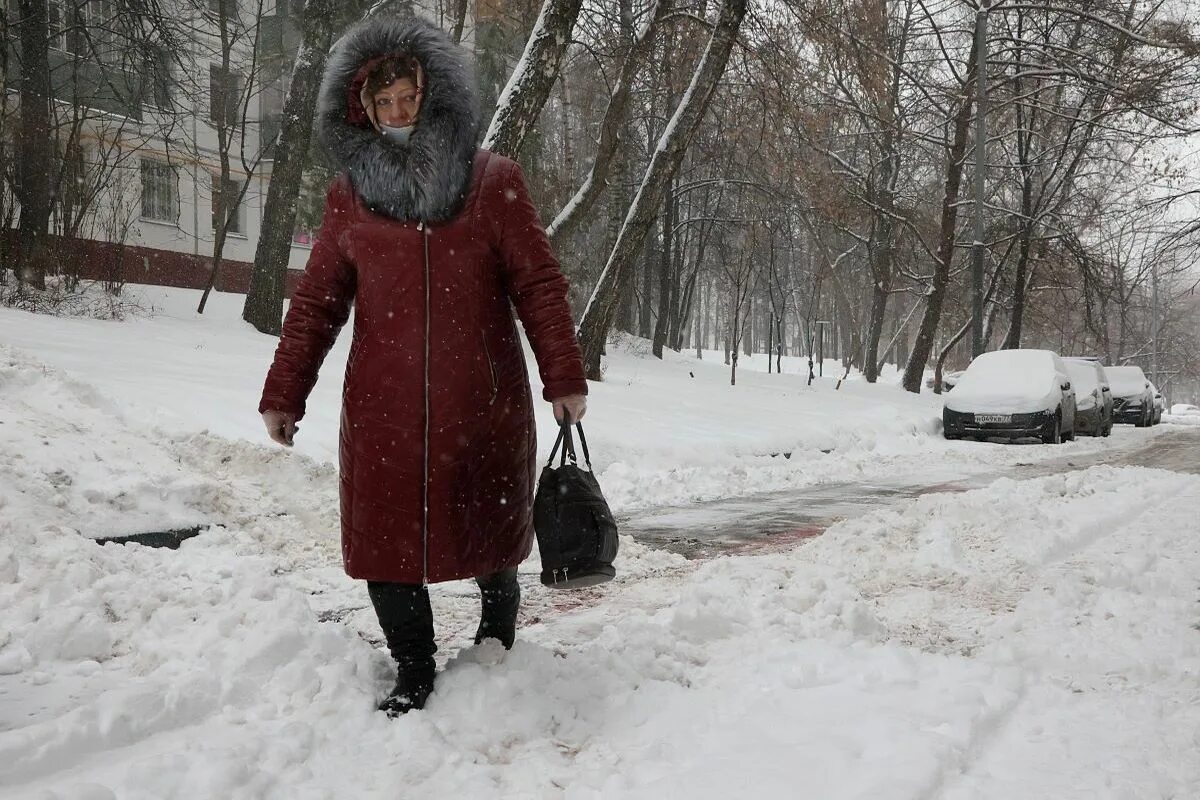 Потепление в москве в декабре. Снегопад в Москве. Потепление зимой. Потеплело зимой. Снегопад в Москве день.