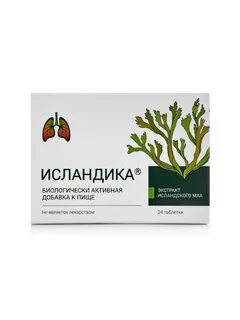 Исландика