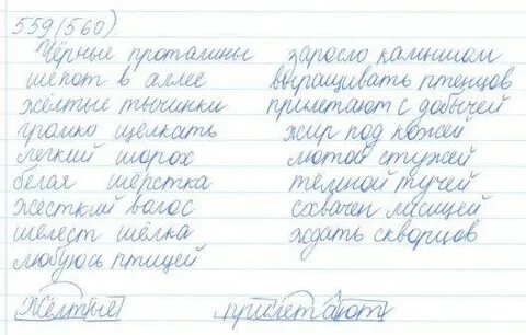 Русский язык 5 класс учебник 559