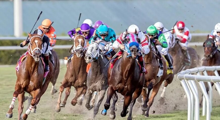 Tjk tsell кампания малумот. Tjk mobil. Джокей итальянский. Duzanda tjk instagram 2022. Tjk mobil.