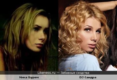Похожа тут