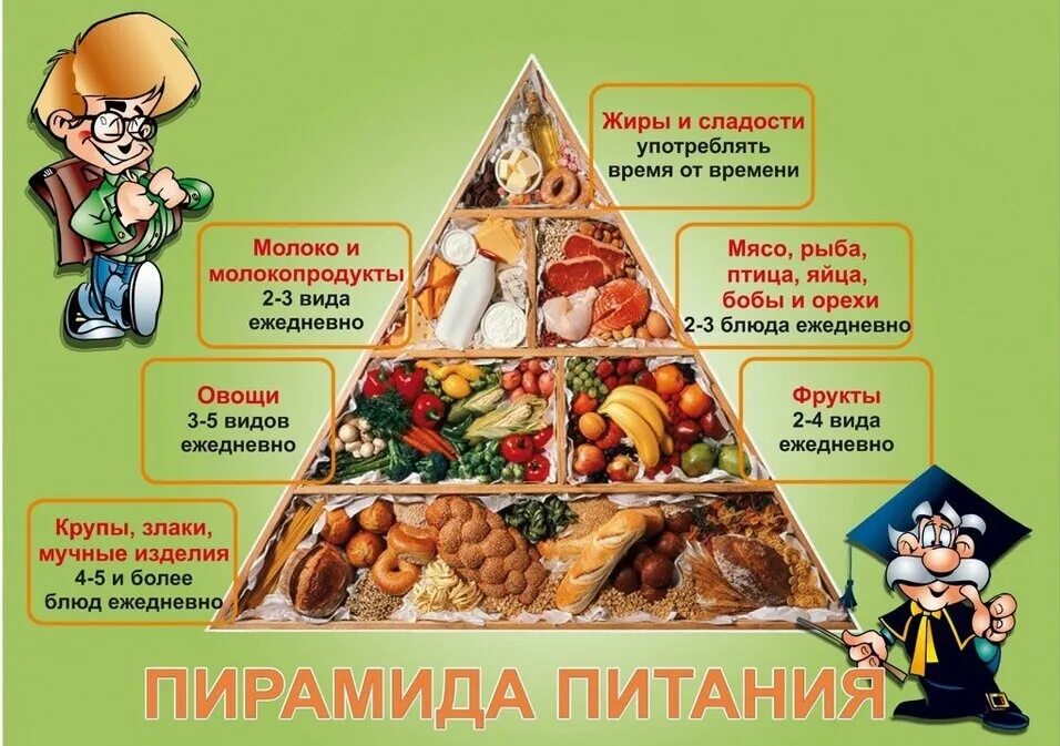 Пирамида правильного питания для школьников