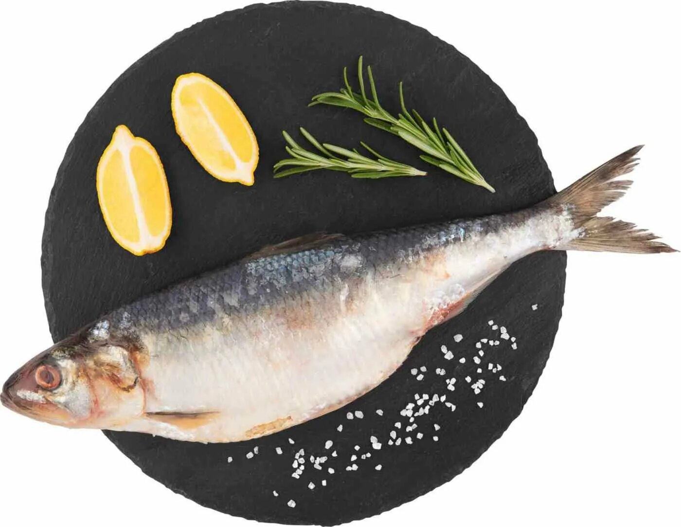 Красноглазка рыба живая. Каспийская селедка. Азовская сельдь залом. Волжская селедка черноспинка. Каспийская селедка.