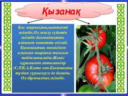 Құл мен қожайынның орысша видеосы