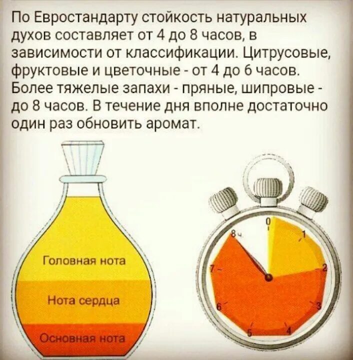 Стойкость духов. Стойкость ароматов в парфюмерии. Стойкость духов туалетной воды. Парфюм по стойкости аромата. Что держится дольше туалетная или парфюмерная вода