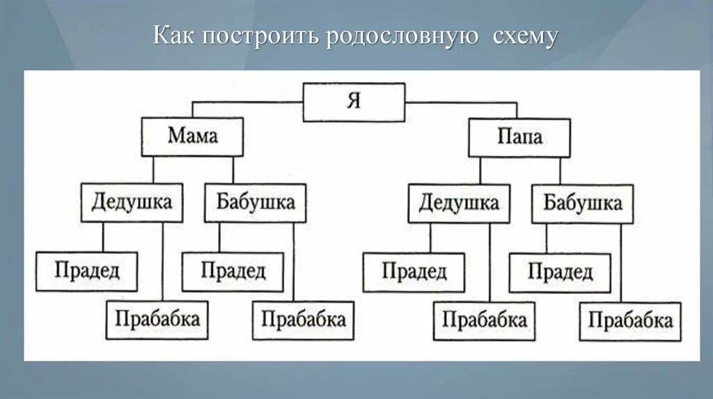 Как найти свою родословную