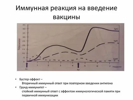 После ответа
