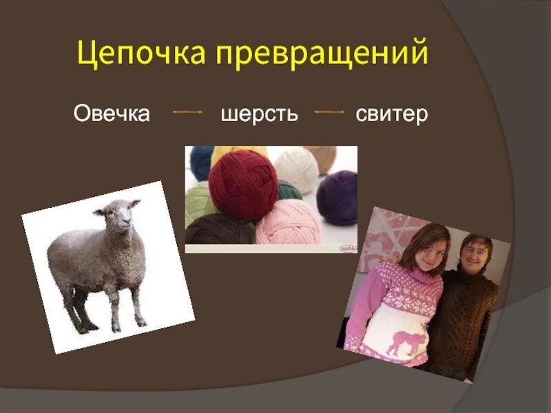Как делают шерстяные вещи 2 класс. Производственная цепочка из шерсти. цепочка изготовления шерстяных вещей. цепочка производства шерсти. производственная цепочка шерстяные вещи.