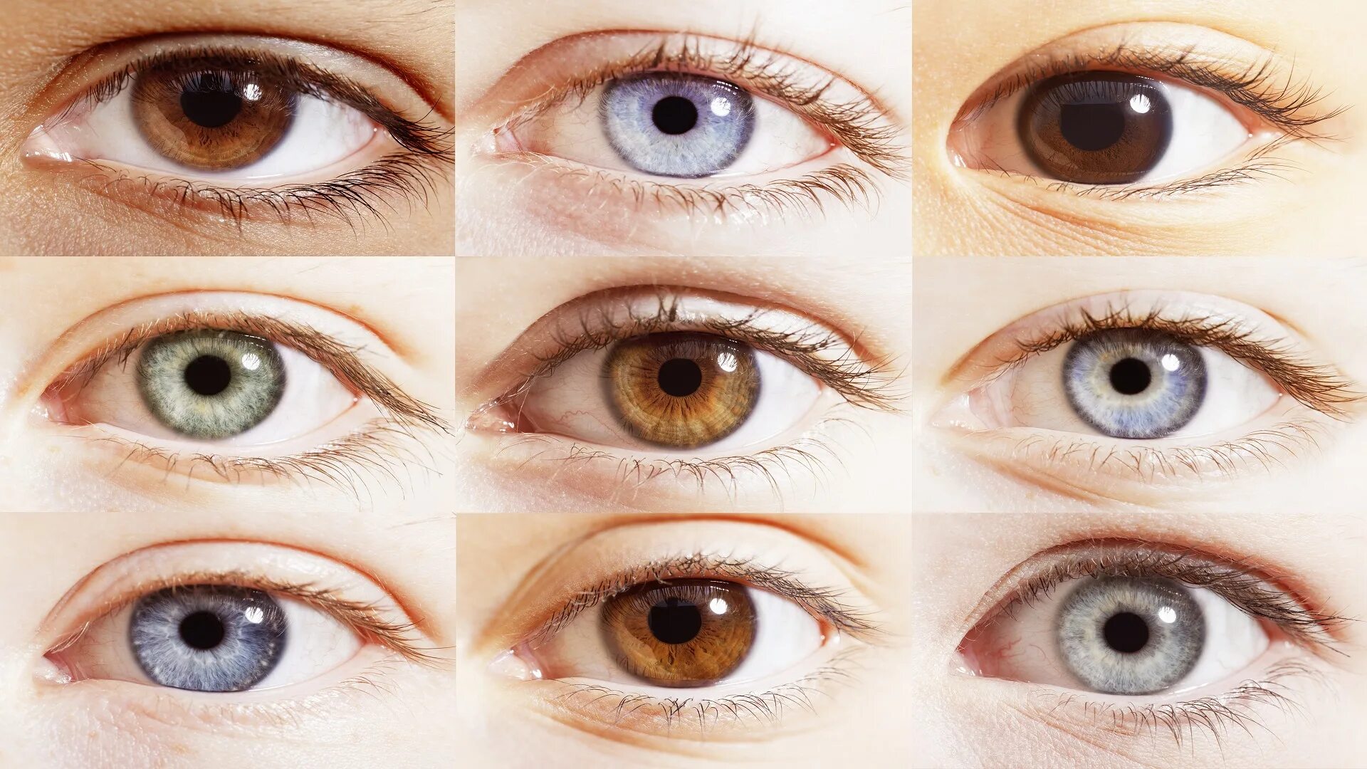 Разная радужка. Цвет глаз. Цвета глаз у человека. Оттенки глаз. Подобрать цвет глаз.