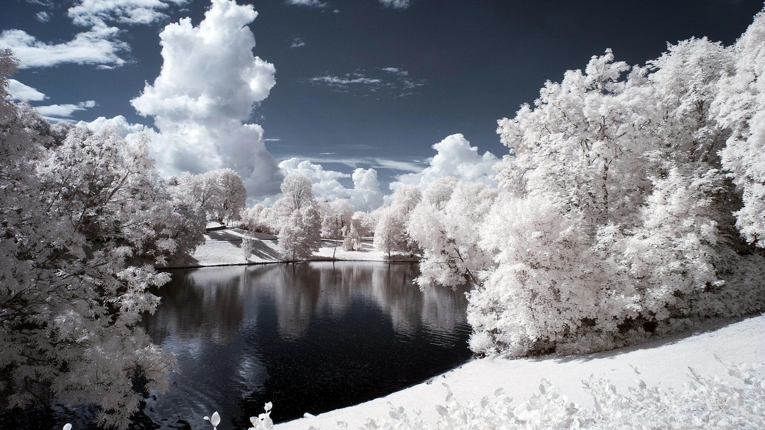 Snow is beautiful. Винтер Сноу. Красивая зима. Красота зимы. Зима пейзаж.