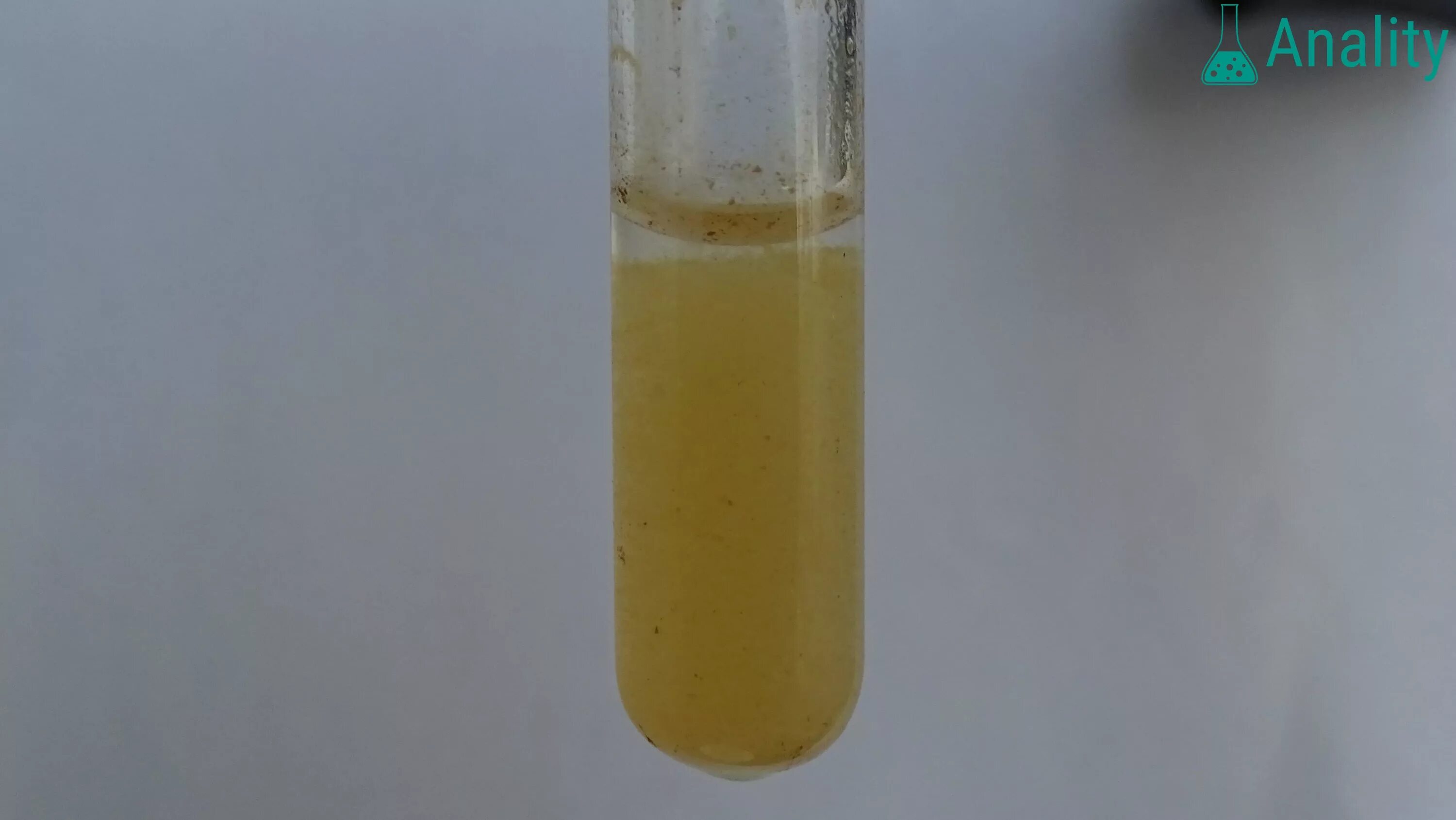 Цвет раствора гидроксида меди 2. Co oh 2 осадок. Co oh 2 цвет осадка. Oh2. Fe oh 3 цвет осадка.