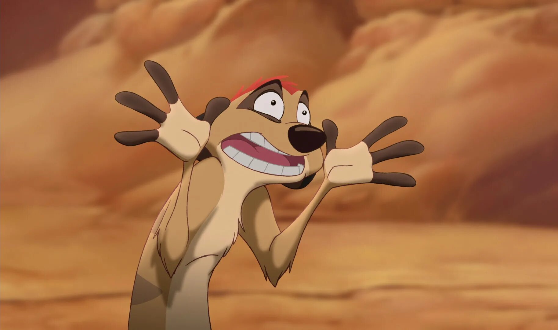 Timon rdd